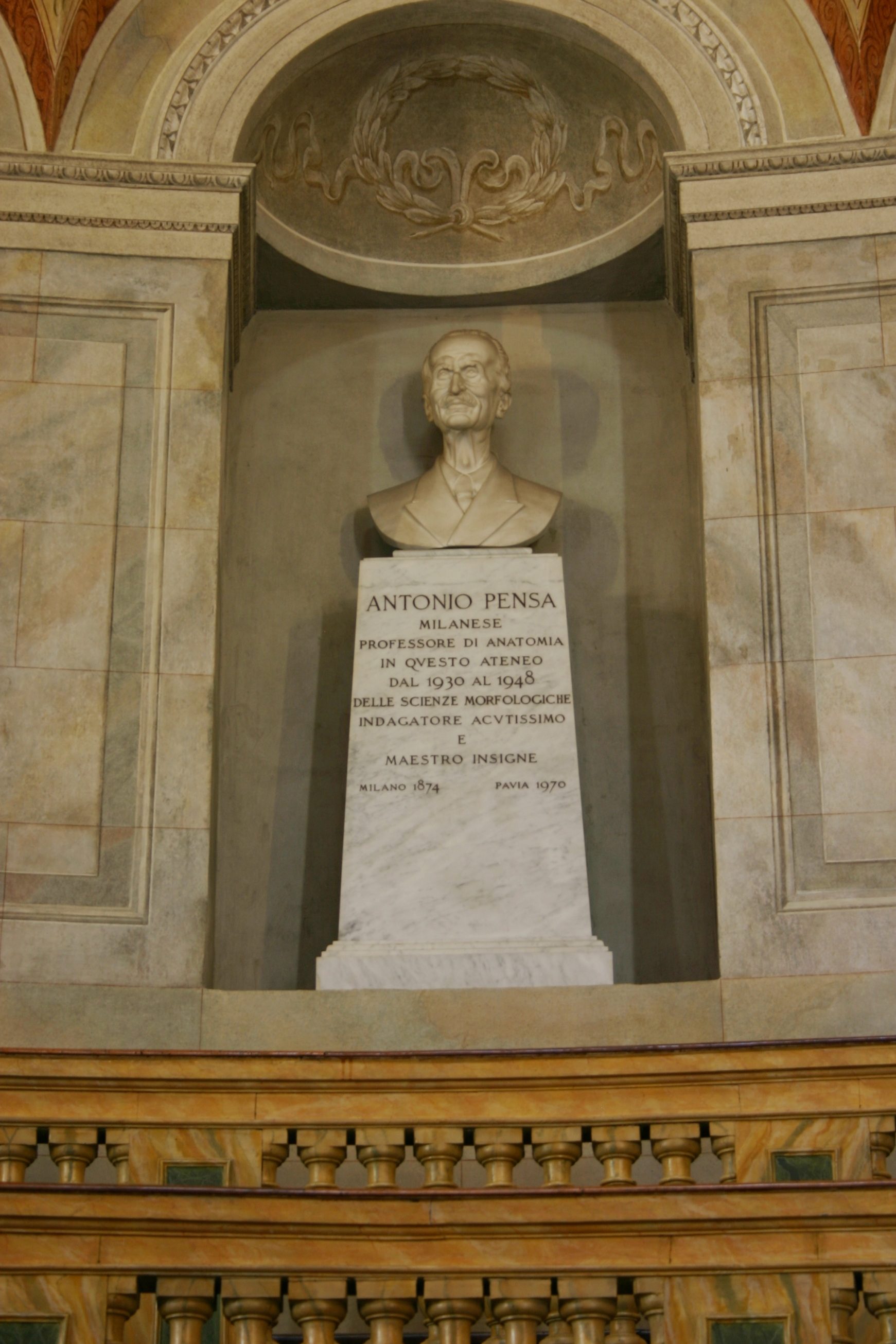 Antonio Pensa's bust, Aula Scarpa, Pavia (2).JPG